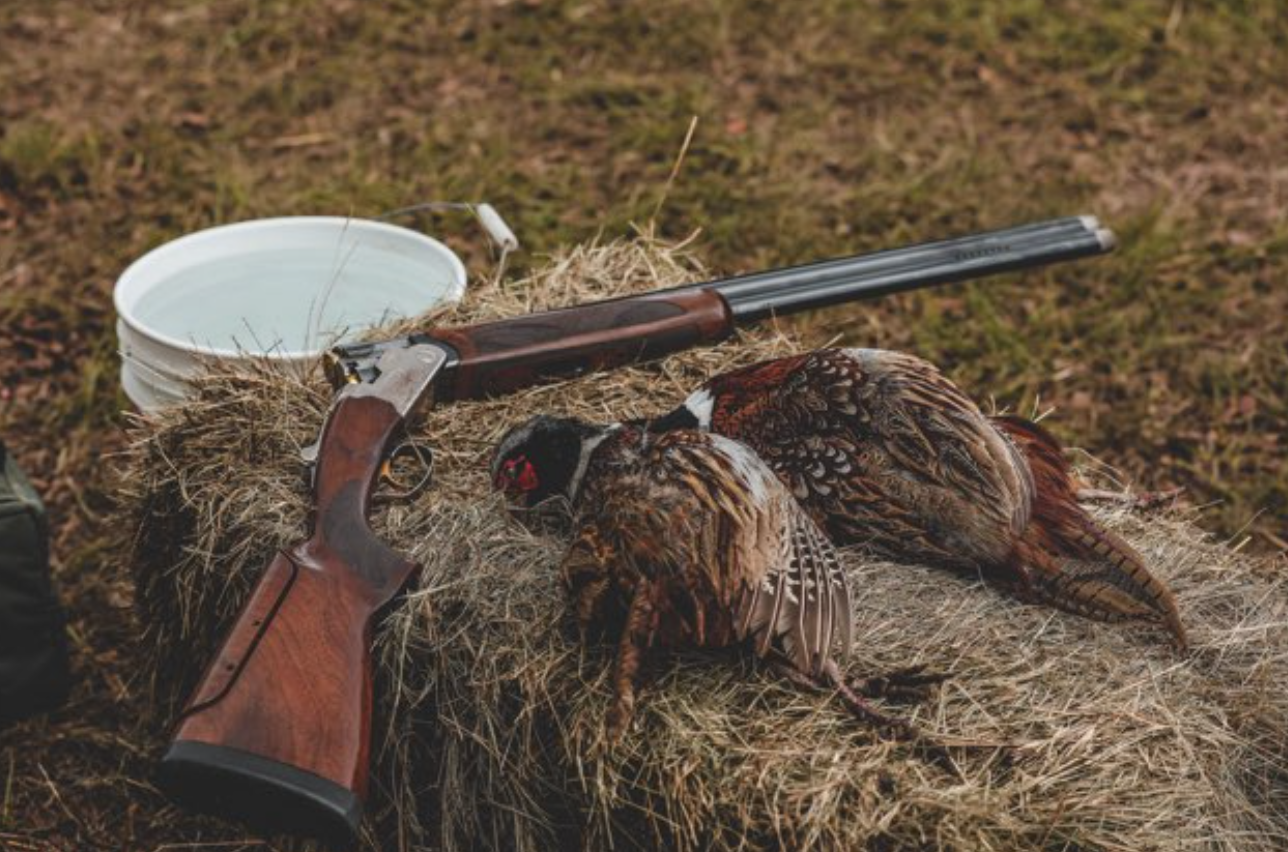 Pheasant hunt at Lower Wetumpka Shotgun Sports Club